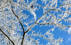 Article Image for Biotech Funding Winter Thaws With New Breakthroughs
