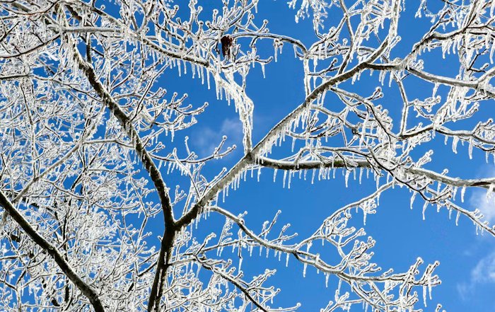 Article Image for Biotech Funding Winter Thaws With New Breakthroughs
