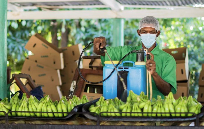 Article Image for Jobs in Green Technology and Innovation