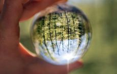 Article Image for Sustainable Business Models Transforming Industries