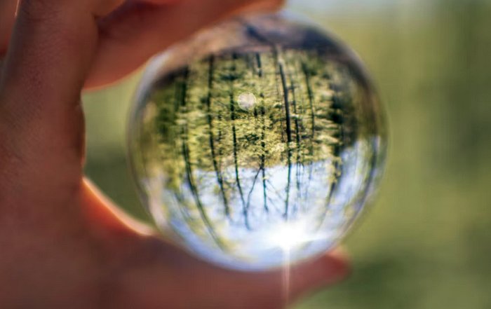 Article Image for Sustainable Business Models Transforming Industries