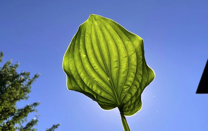 Article Image for Sustainable Finance and Green Investment Trends