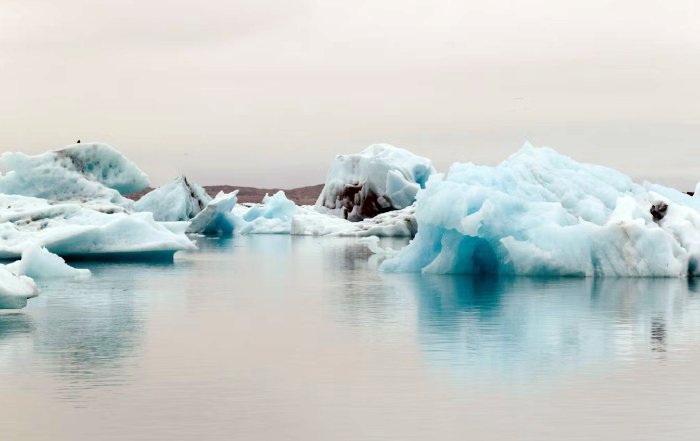Article Image for Tech Founders Are Pivoting To Climate Solutions