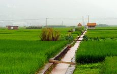 Article Image for The Rise Of Sustainable Investing In European Markets