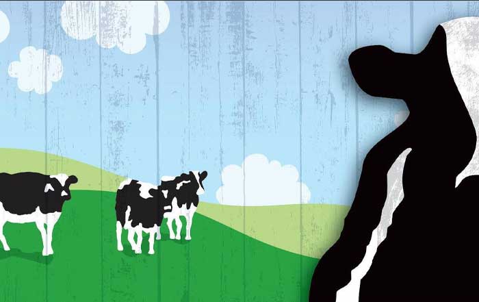 Top 10 Sustainable Business Practices Big Brands Leading the Way