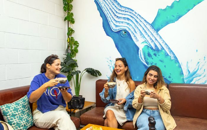 Article Image for Women Founders Driving Change in Brazil’s Startup Ecosystem
